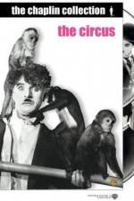 The Circus