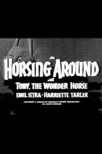 Horsing Around