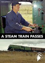A Steam Train Passes (Short 1974)