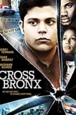 Cross Bronx