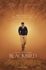 Blackbird
