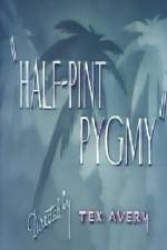 Half-Pint Pygmy