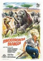 Rhino!