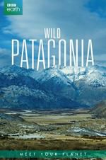 Wild Patagonia