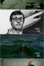 Rogue Sharks
