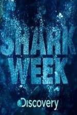 Shark Week